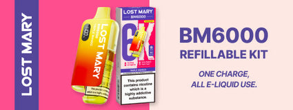 Lost Mary
